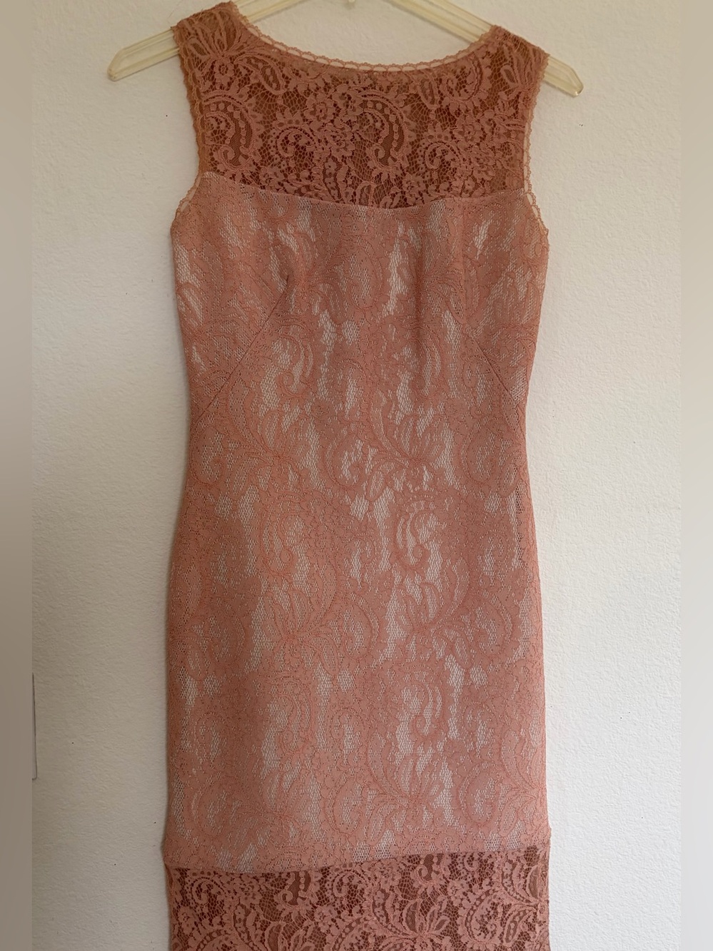 Tadashi Shoji Rose Lace Sheath Dress